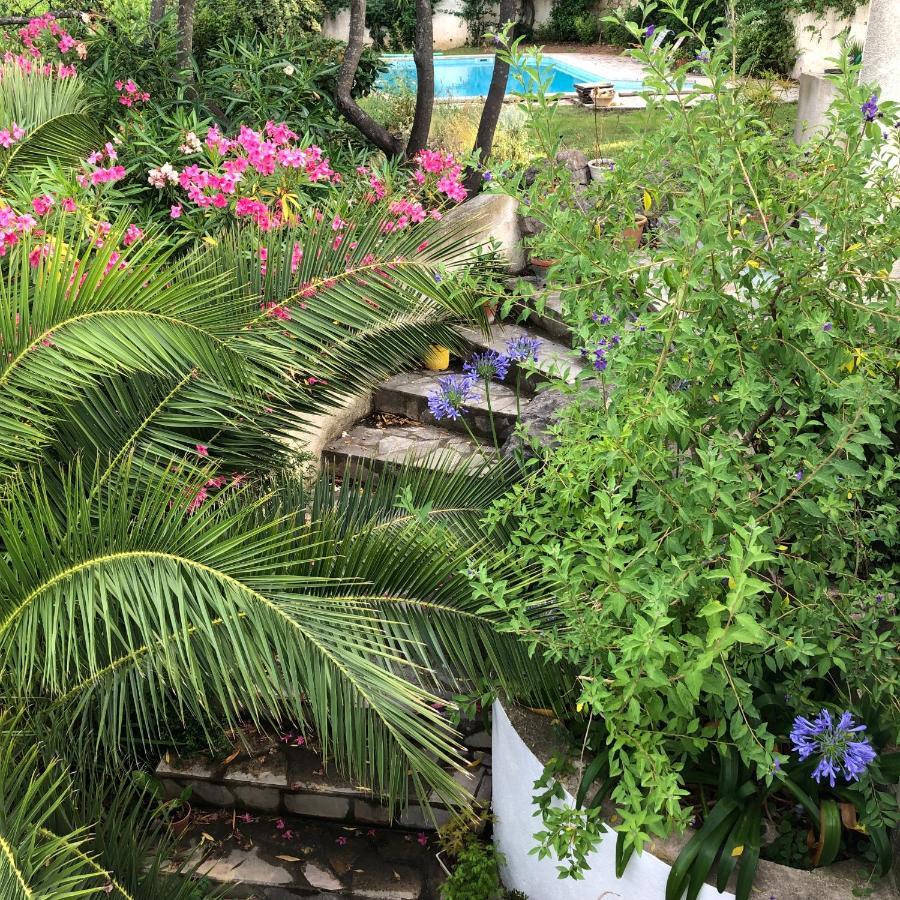 L'Appartement - Jardin Secret มาร์กเซย ภายนอก รูปภาพ
